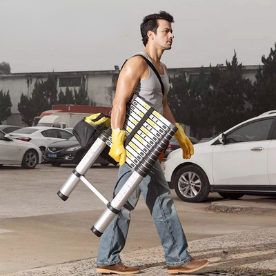 Aussie Renovations™ Telescopic Ladder